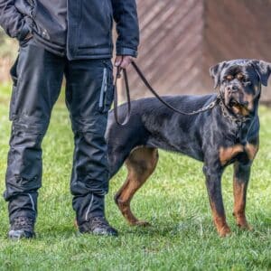 קרבינות פליז
