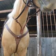 טבעות D אומגה פליז